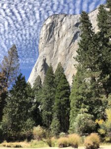 Mangiare senza glutine allo Yosemite Nationall Park