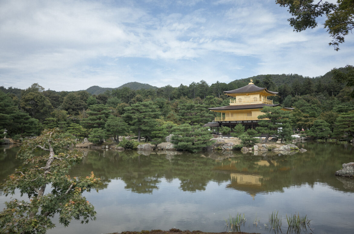 Il tempio Kinkaku-ji, Padiglione d’Oro di Kyoto, circondato da alberi e riflesso nelle acque dello stagno.